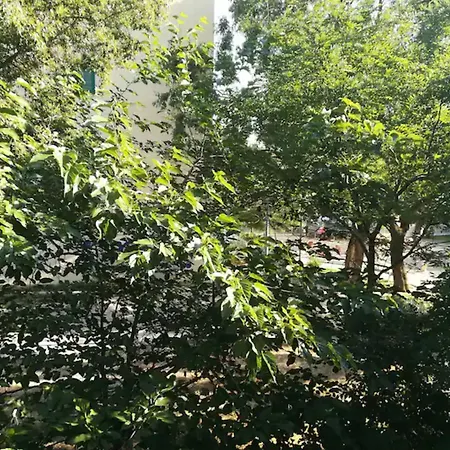 Apartamento Friendly Well Located Family